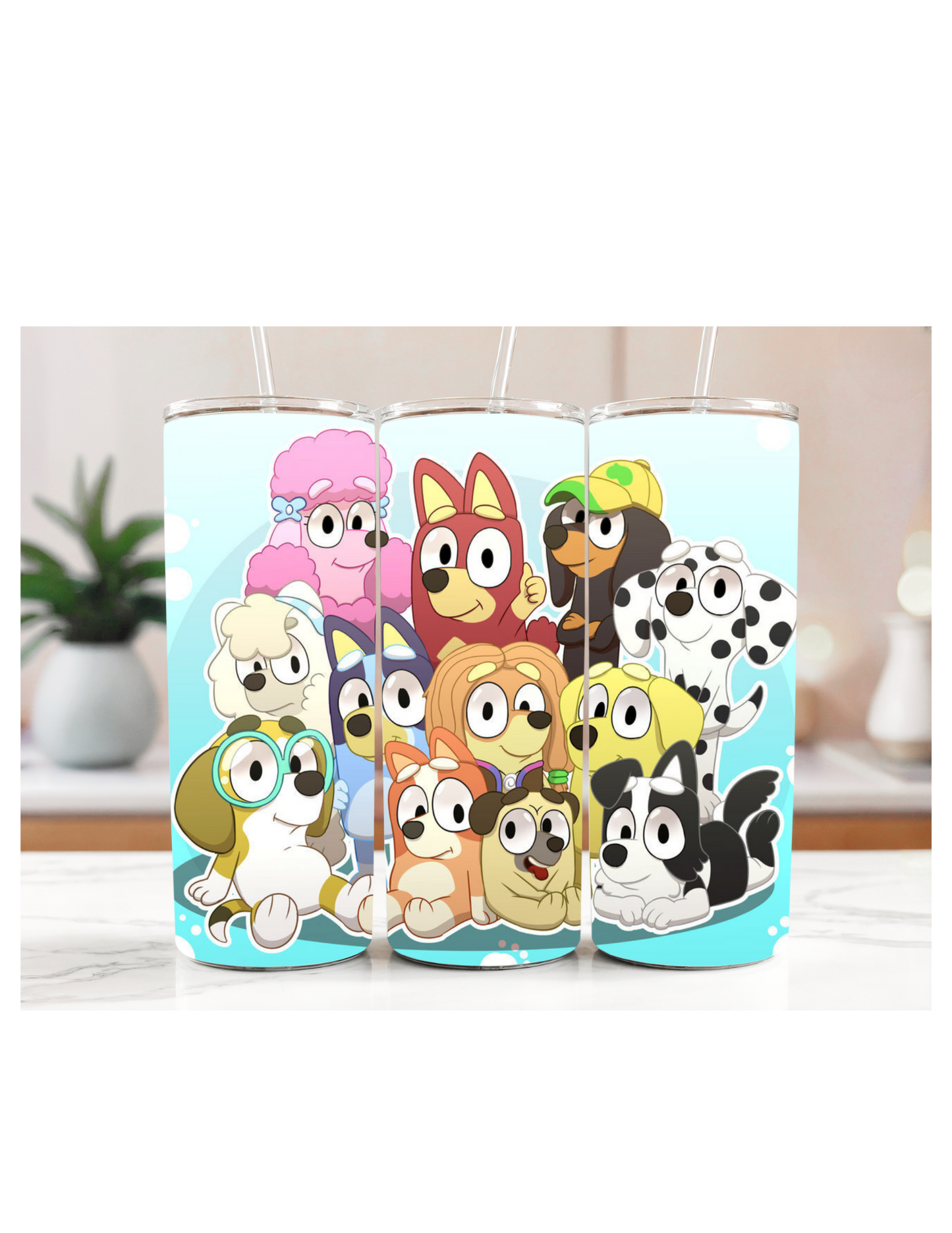20oz Tumbler