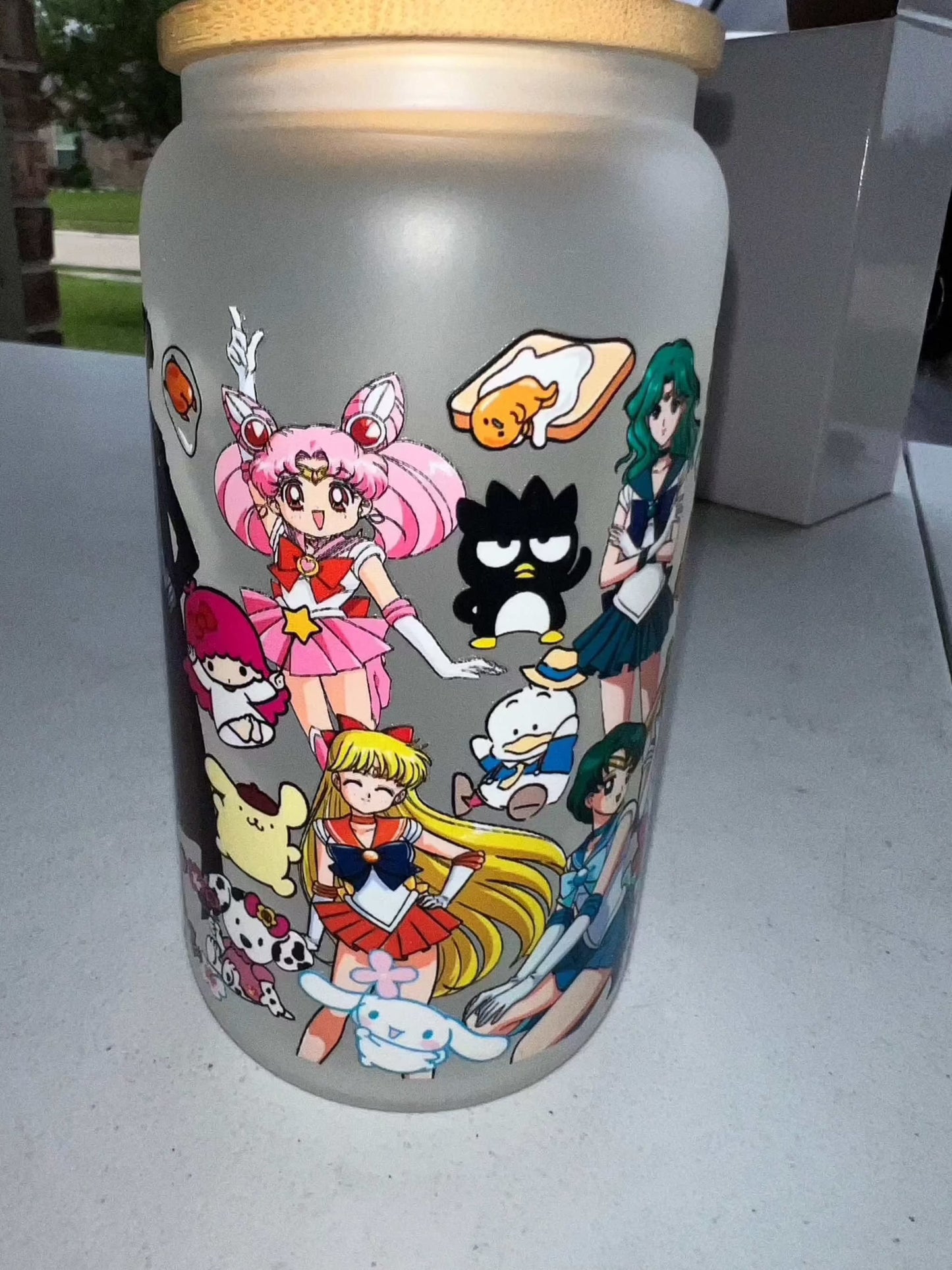 16oz Frosted Glass Cups