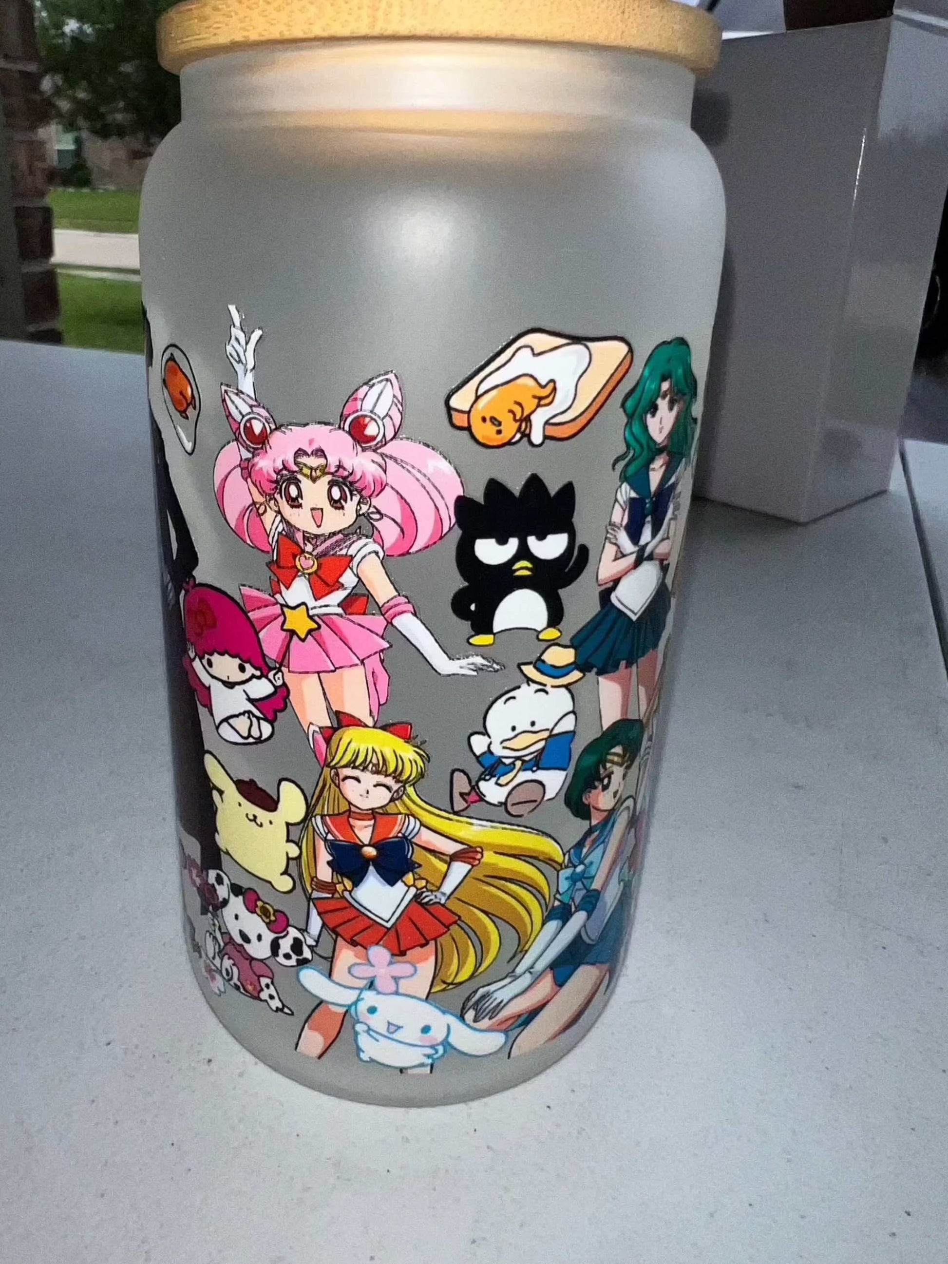 16oz Frosted Glass Cups