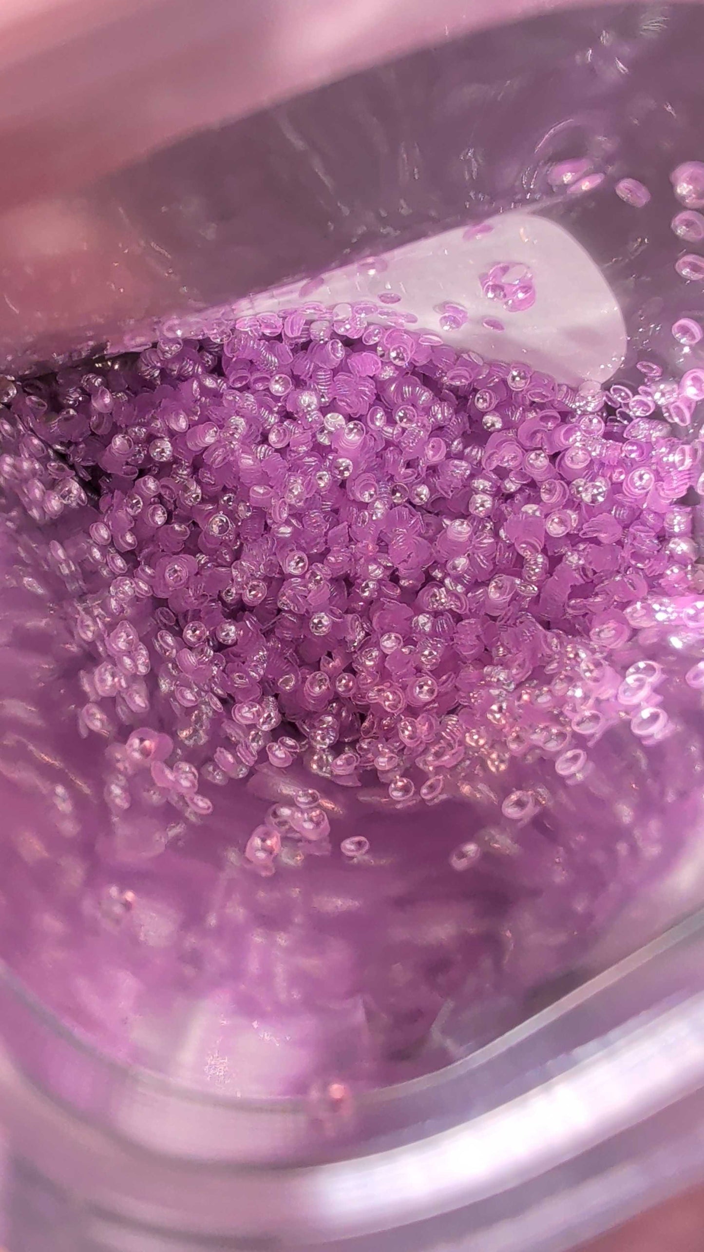 Orchids Pearl